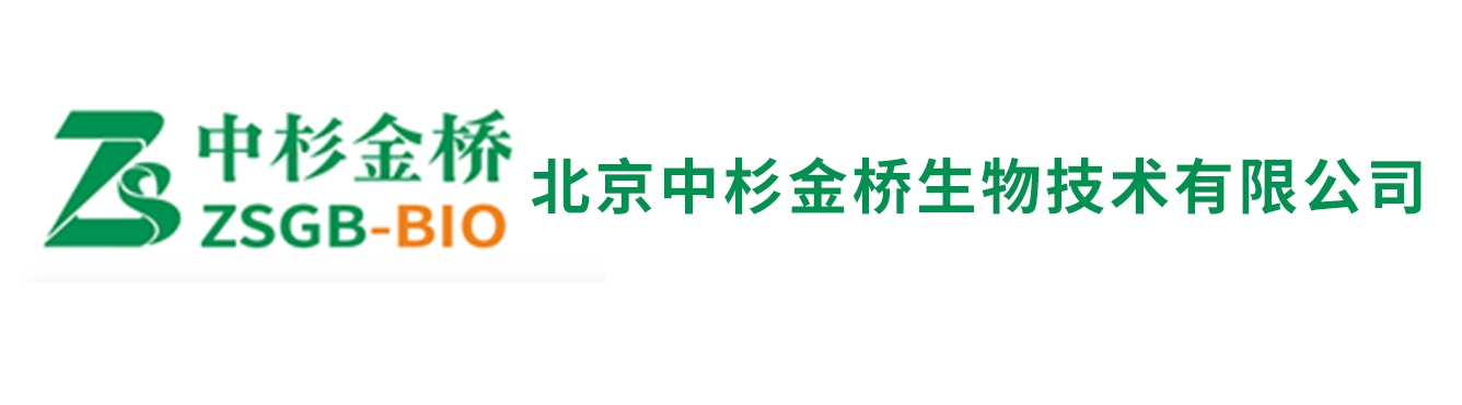 中杉金桥